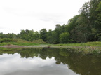 IMG 4447